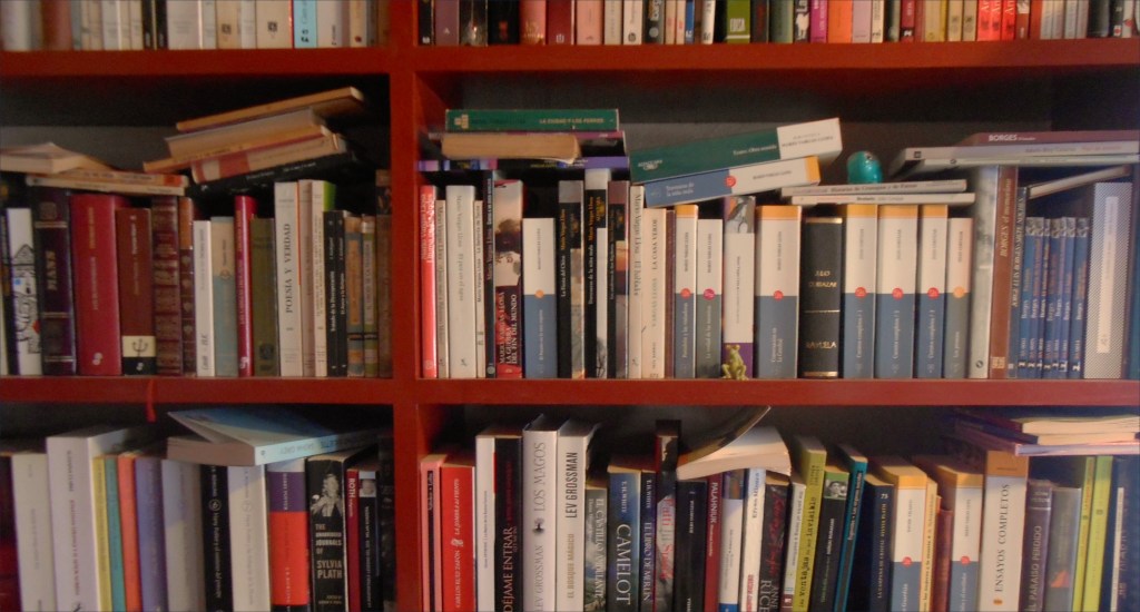 ¿Y ya los leíste todos?