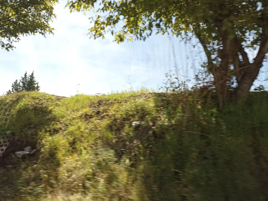 El árbol en la&nbsp;colina