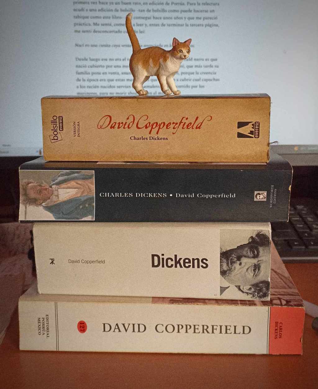 A propósito de las&nbsp;traducciones